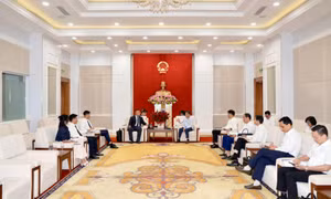 Quang Ninh’s Chairman Bui Van Khang receives Muyuan Group investor delegation