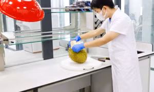 Laboratory at Bac Luan II Bridge recognised for analytical capabilities