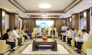 Secretary of the Quang Ninh Provincial Party Committee has courtesy meeting with Special Advisor to the Japan–Vietnam Parliamentary Friendship Alliance