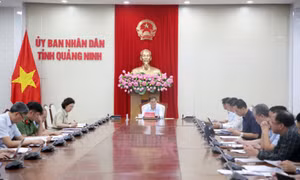 Quang Ninh expands night-time economy development across the province