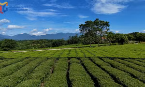 Duong Hoa emerges as a new destination on Quang Ninh’s tourism map