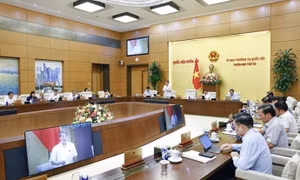 NA’s Standing Committee pushes ahead digital transformation in tax management