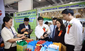 Quang Ninh OCOP Autumn-Winter Fair 2025 open on October 28