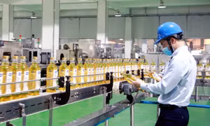 Quang Ninh strives to lure over 1 billion USD of FDI to industrial parks this year