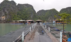 Quảng Ninh makes effort to preserve old fishing villages in Hạ Long Bay