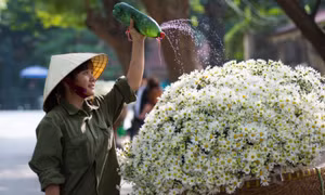 7 experiences to embrace autumn in Hanoi