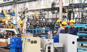 Vietnam wants private sector to become driving force for economic growth