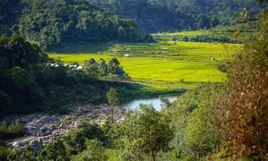 Mang Den – attractive destination in Central Highlands
