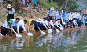 International Day for Biodiversity: conservation for sustainable development
