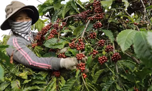 Workshop discusses role of corporate in biodiversity conservation