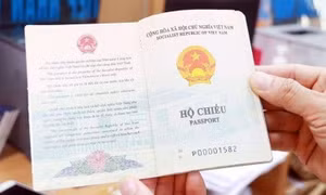 Germany temporarily recognises Vietnam’s new passport version