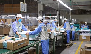 Việt Nam's timber industry urged to seek new opportunities in the UK