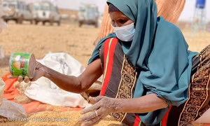 For the sustainability of the global food system