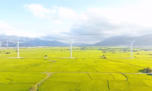 Green finance fuels push for sustainable growth