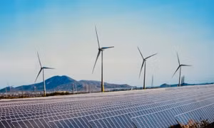 Private sector should be well-prepared for carbon market launch