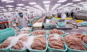Recovering demand for aquatic products comes with challenges: conference 