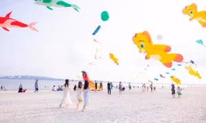 Hi!Summer festival lures over 12,000 tourist arrivals