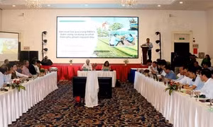 Workshop highlights Việt Nam's potential for developing circular economy from rice by-products