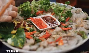 Vietnamese food festival lures visitors