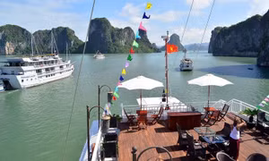 Various tours and activities to attract tourists during upcoming holiday