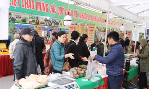 Quang Ninh OCOP Fair - Autumn-Winter 2023 to open on August 29 