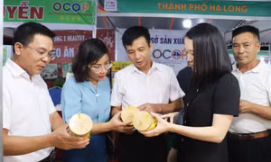 OCOP Promotion Week 2023 launched in Ha Long city