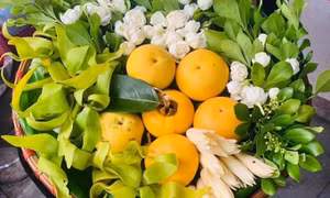 Gold apples: a symbol of heritage and resilience