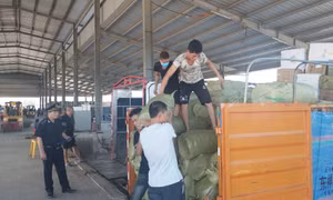Over 990,000 tonnes of cargo cleared through Mong Cai’s border gates and openings