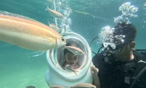 Scuba diving reveals Co To's underwater beauty