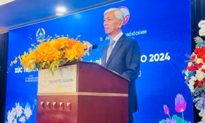 'Diverse economic, political landscapes' make ASEAN foreign investment hub