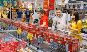 Year-end stimulus expected to boost economic growth