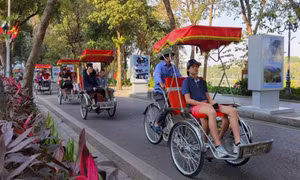 Digital ecosystem helps boost Việt Nam's tourism growth