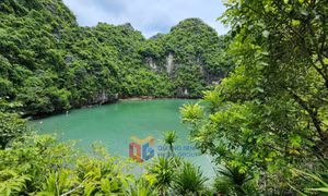Dau Be lake - A hidden gem at the heart of the heritage bay