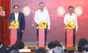 Platforms on digital transformation launched