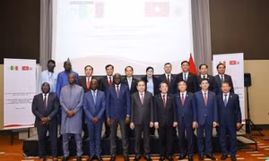 Việt Nam, Senegal strengthen economic ties at policy dialogue