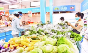Abundant supply of agricultural products and food for Tet