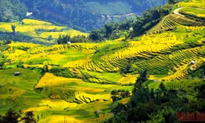 "Green corridor" needed for domestic tourism