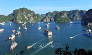 Quang Ninh working hard to develop night-time economy