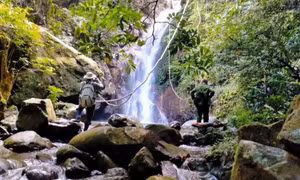 Unlocking the potential of forest tourism in Quang Ninh