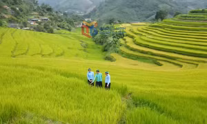 Discovering Northeastern Quang Ninh