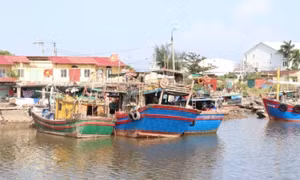 PM requests honest reporting, substantive actions against IUU fishing