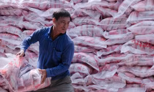 Trade poised for new record but sustainability concern persists: conference