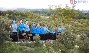 Hai Son - A journey through history, culture, and community