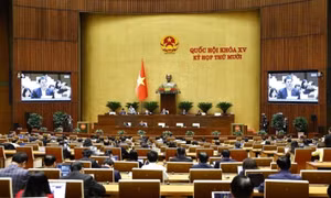 Government, National Assembly praised for impressive, innovative tenure