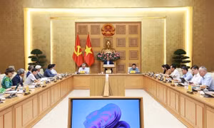 PM calls for private sector's stronger efforts to drive economic growth