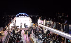 Indian billionaire holds wedding in Ha Long