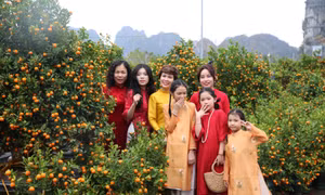 Flower fair full of spring atmosphere