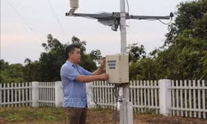 Artificial Intelligence applied to weather forecasting