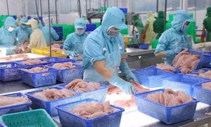 Export value of aquatic products up 38% in nine months