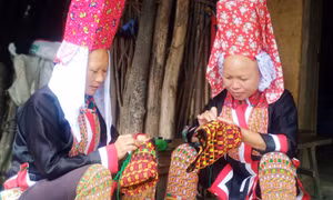 Community-based tourism development in Binh Lieu